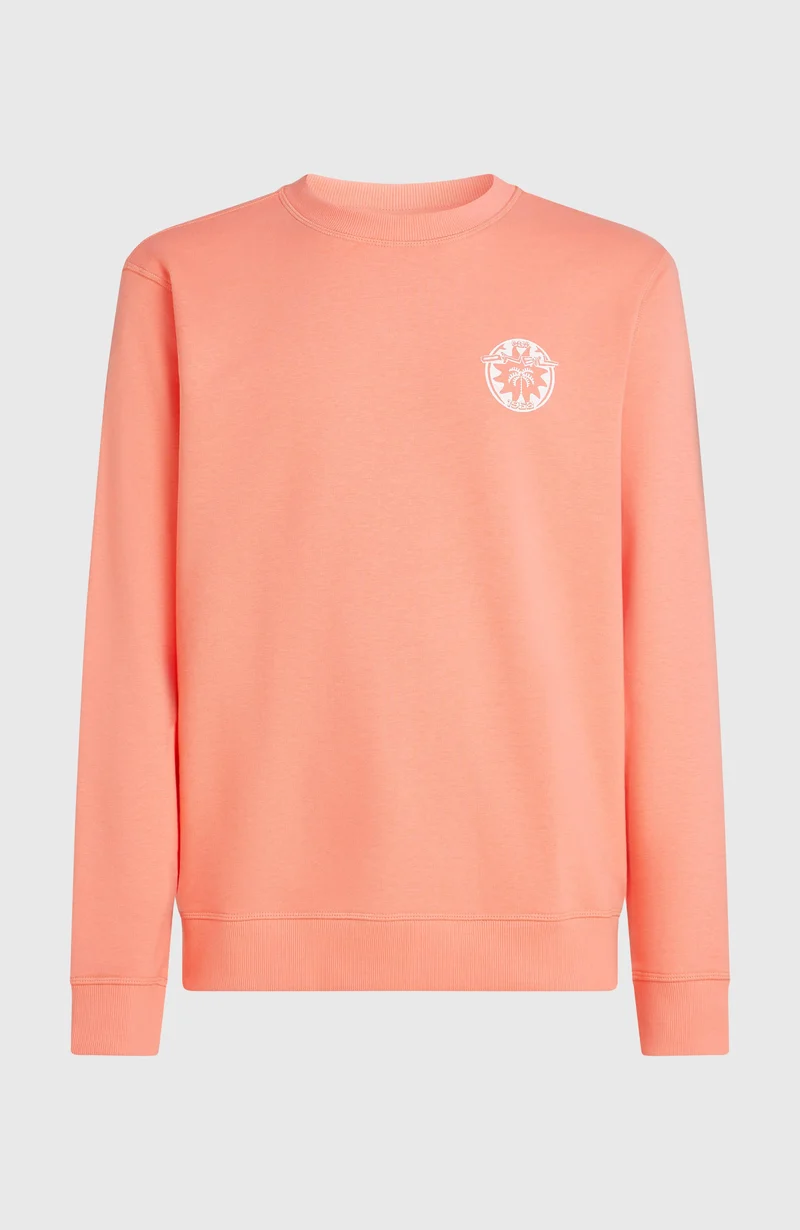 O'Neill Must-Have Graphic Crew sweater | Funky Peach
