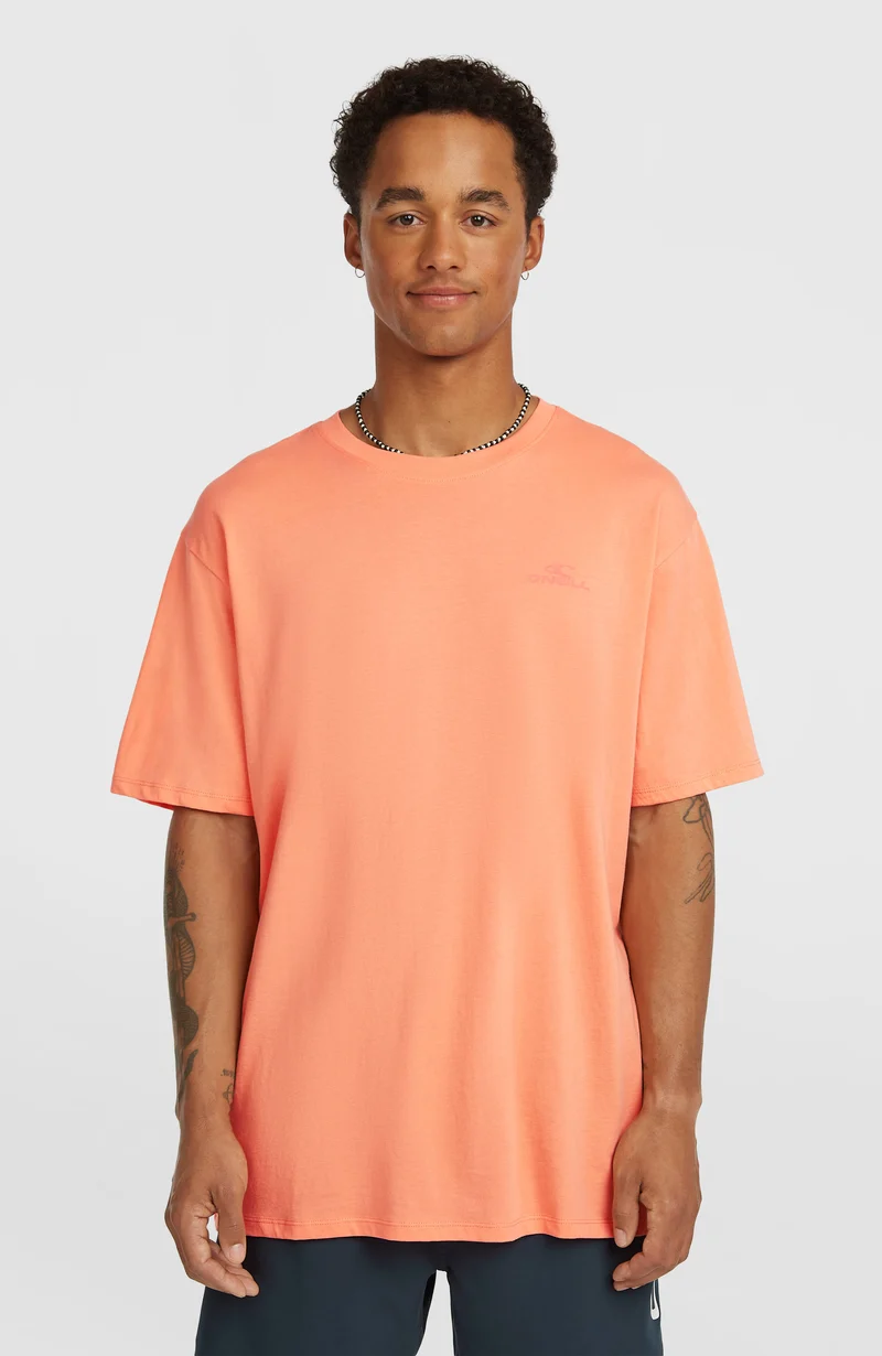 O'Neill Small Logo T-shirt | Funky Peach