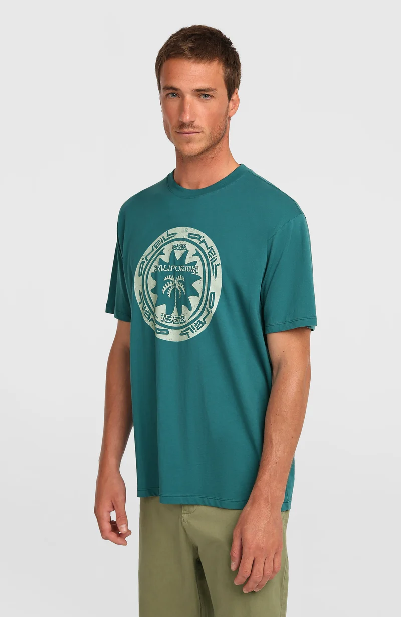 O'Neill Must-Have Graphic T-shirt | Botanical Heat