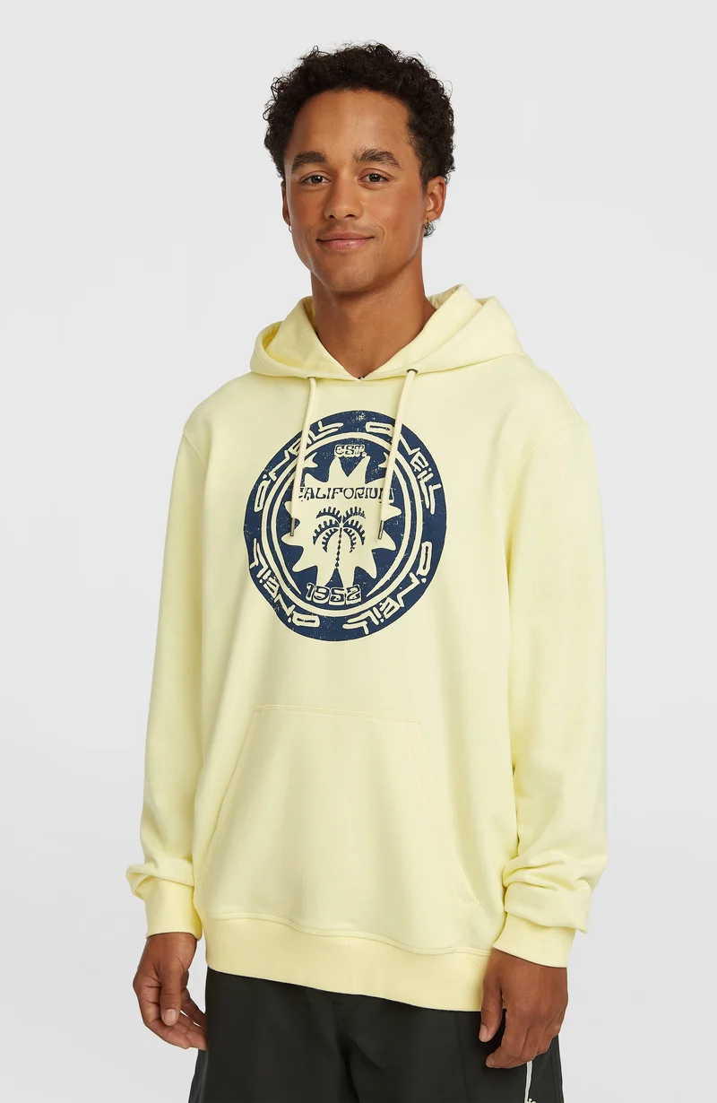 O'Neill Must-Have Graphic hoodie | Rainforest Dew