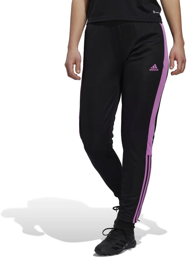 TIRO TR PNT ESW. Pant