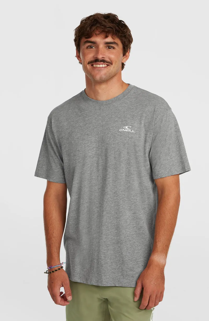 O'Neill Small Logo T-shirt | Silver Melee