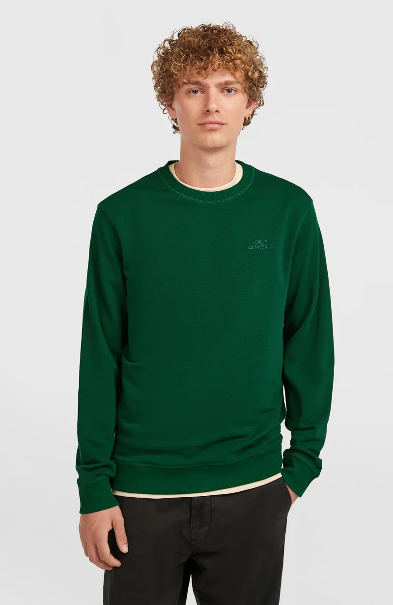 Small Logo Crew sweater | Emerald Envy