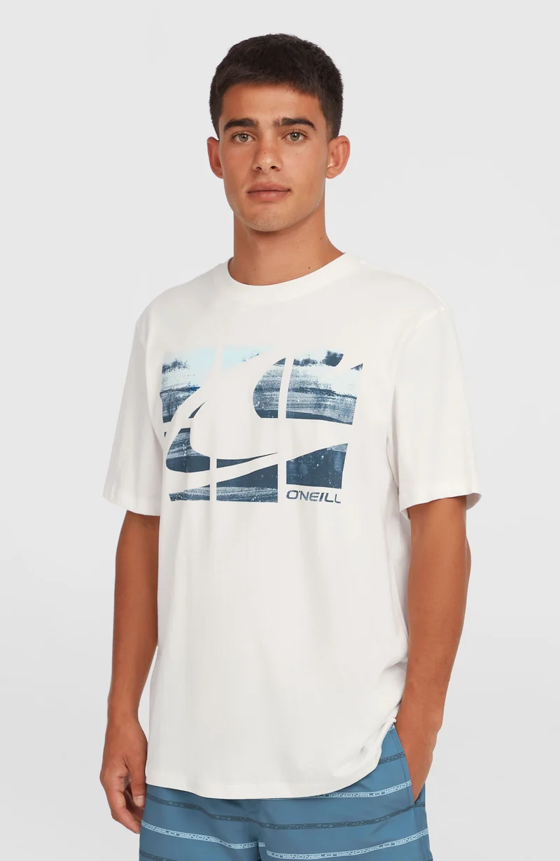 Gradient T-shirt | Snow White 2