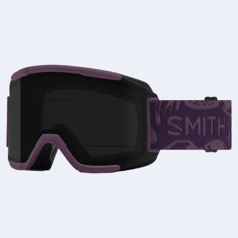 Smith Squad Goggle