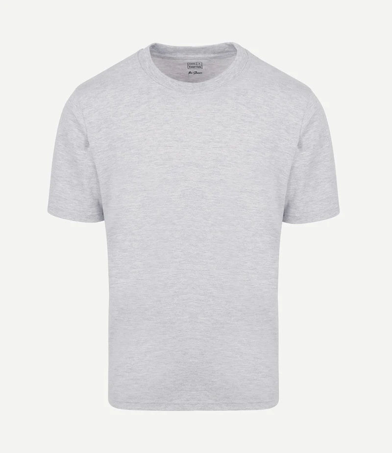 The shawn t-shirt grijs