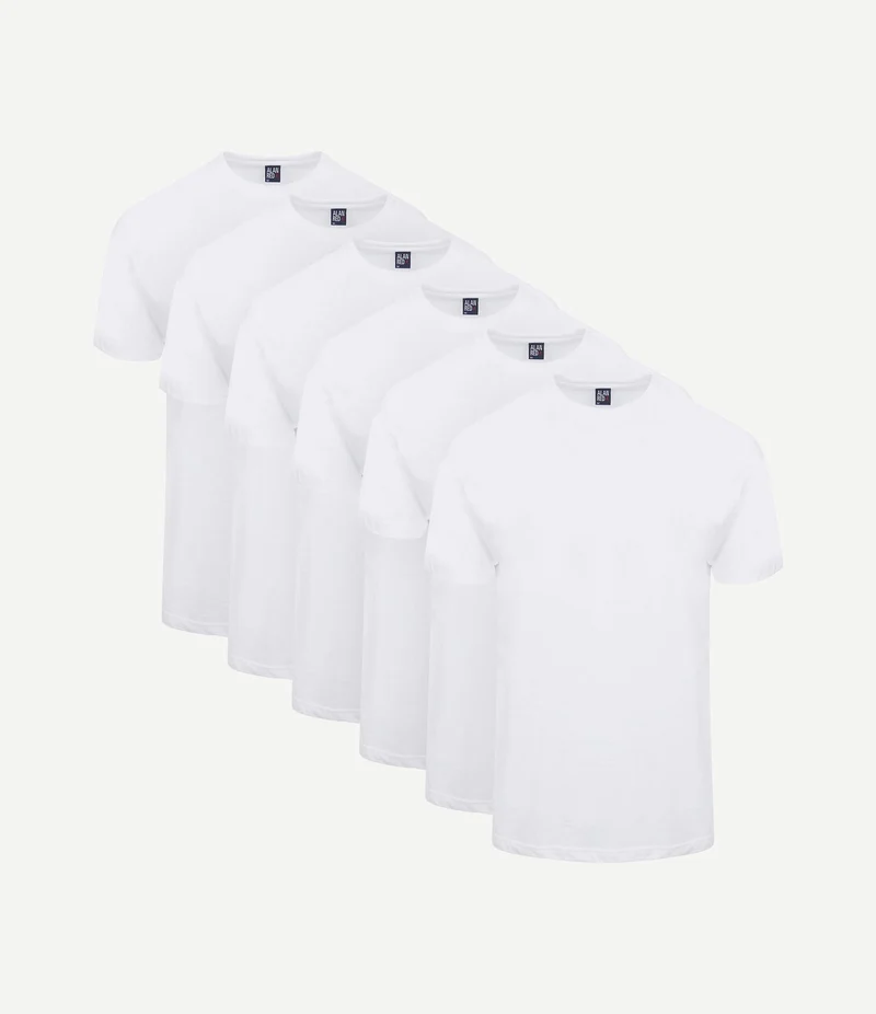 T-shirt Virginia (6-pack)