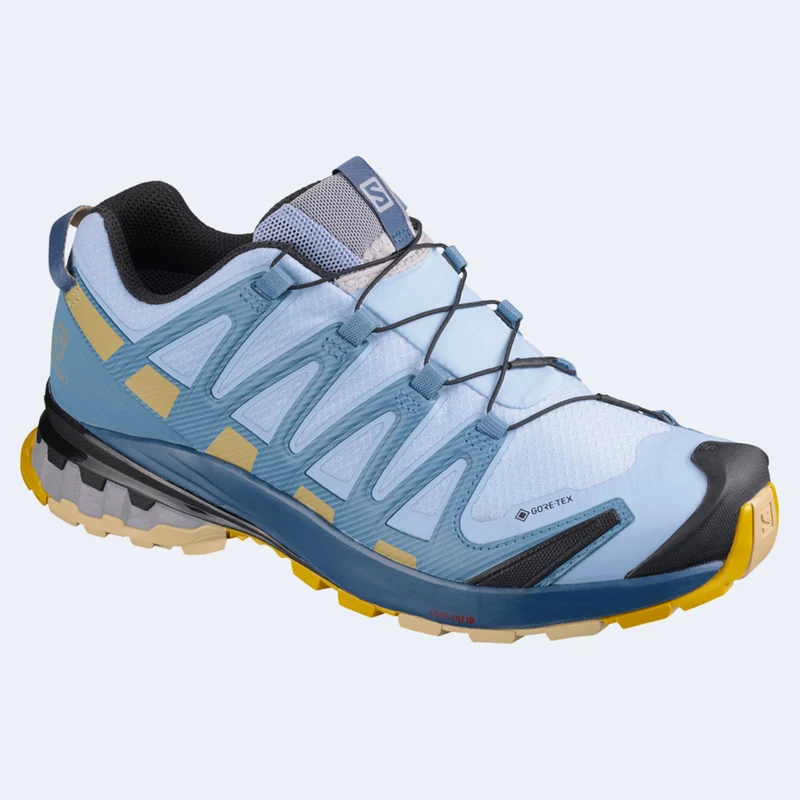 Salomon XA Pro 3D v8 GTX Women's Shoe