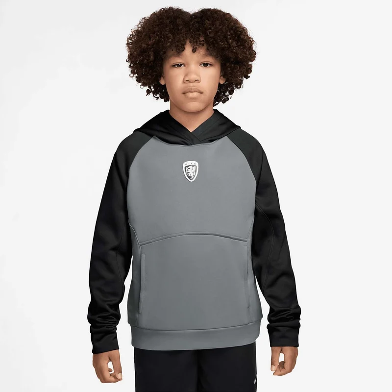 multi renew big kids' hoodie