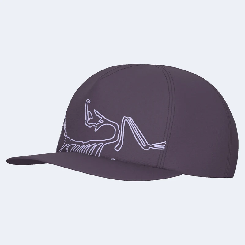 Arcteryx Silex Cap