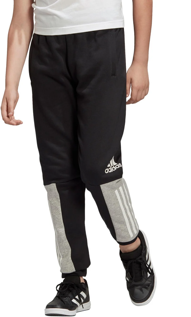 Yb Sid Pant
