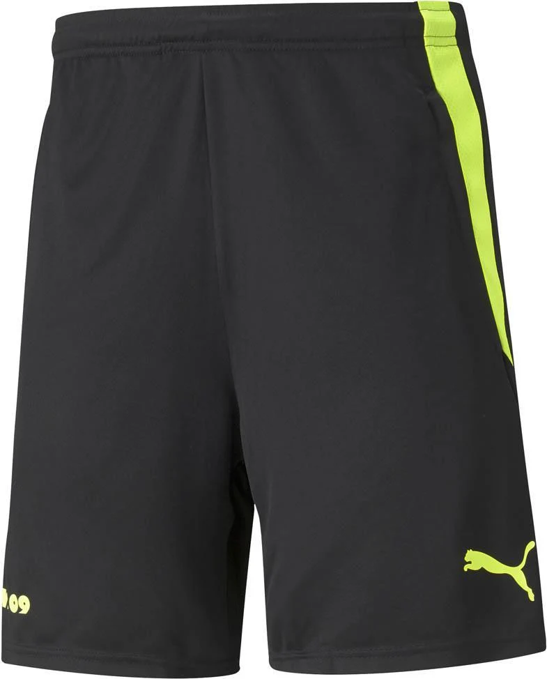 bvb training shorts