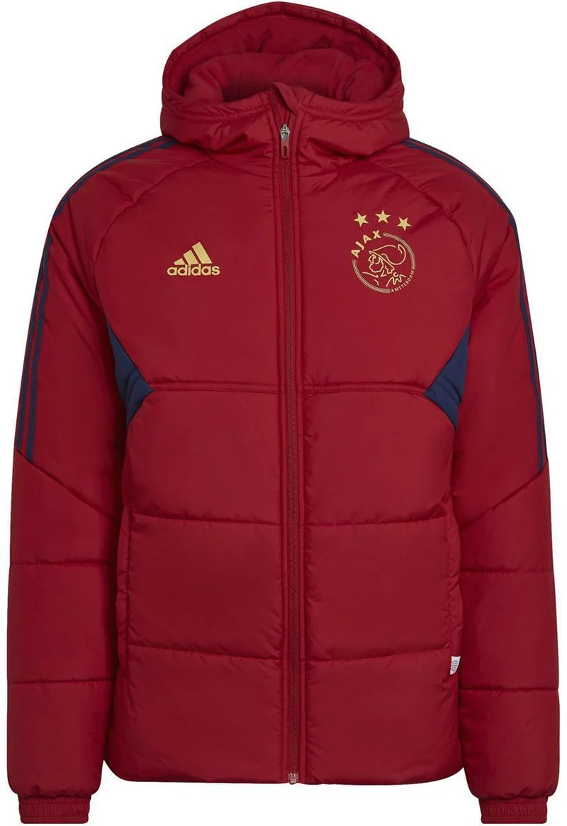 Ajax Wint Jkt