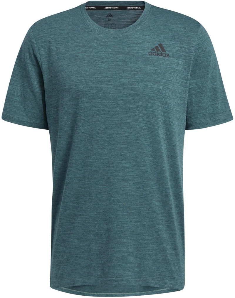 City Elevated T