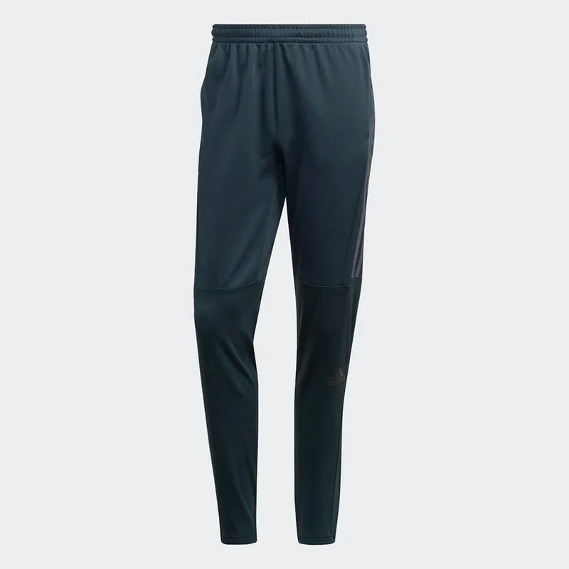 Run Icon Pant