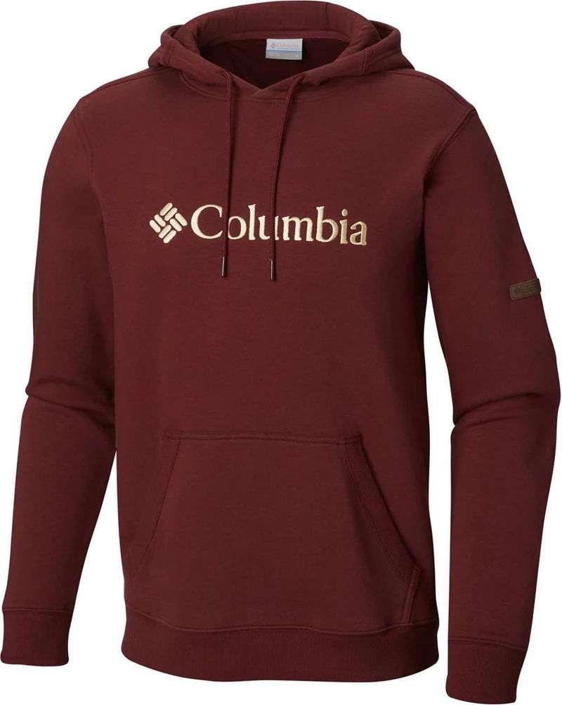 csc basic logo ii hoodie